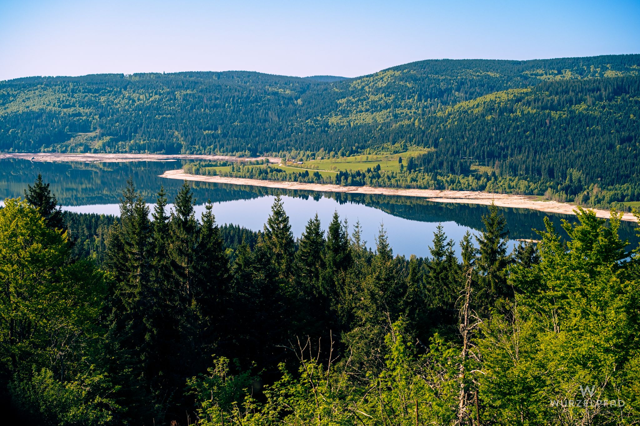 Blick vom Bildstein über den Schluchsee